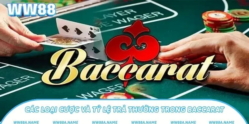 Luật chơi Baccarat cơ bản dễ hiểu cho người mới bắt đầu Các loại cược và tỷ lệ trả thưởng trong Baccarat