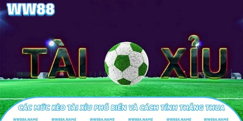 Kèo tài xỉu là gì? Mẹo cược và hướng dẫn tránh bẫy nhà cái Các mức kèo tài xỉu phổ biến và cách tính thắng thua