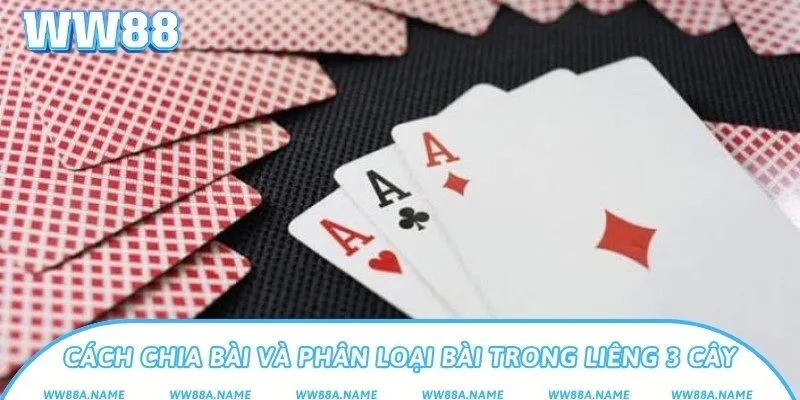 Chơi Liêng 3 cây – Hướng dẫn chi tiết từ A đến Z cho tân thủ Cách chia bài và phân loại bài trong Liêng 3 cây