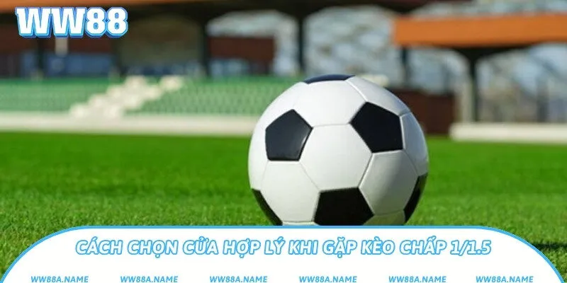 Kèo 1/1.5 là gì? Hướng dẫn đọc và chơi chính xác Cách chọn cửa hợp lý khi gặp kèo chấp 1/1.5