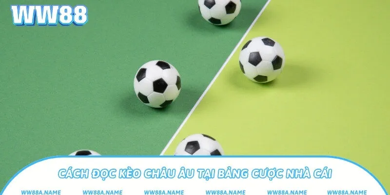 Kèo châu Âu là gì? Cách chơi và mẹo cược hiệu quả Cách đọc kèo châu Âu tại bảng cược nhà cái