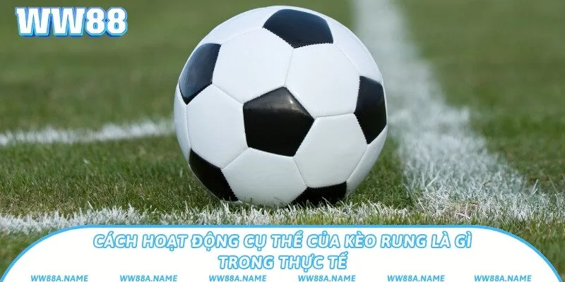 Kèo rung là gì? Cách chơi và thời điểm bắt kèo hiệu quả Cách hoạt động cụ thể của kèo rung là gì trong thực tế