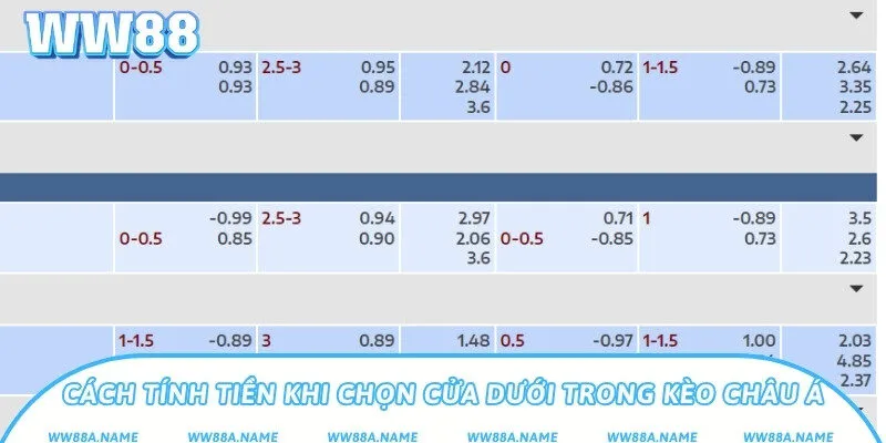 Kèo dưới là gì? Phân tích cách chơi dễ thắng nhất Cách tính tiền khi chọn cửa dưới trong kèo châu Á