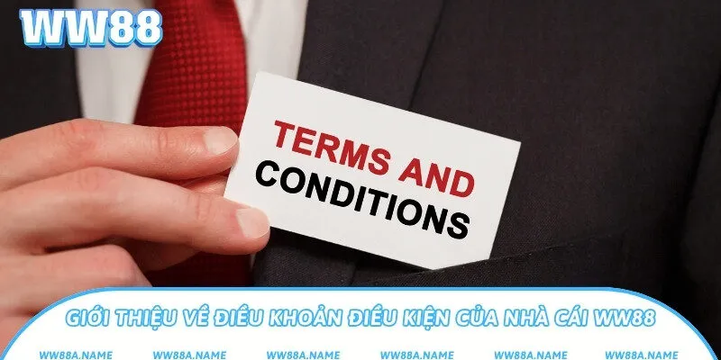 Điều Khoản Điều Kiện WW88 - Quy Định Dành Cho Người Chơi Giới thiệu về điều khoản điều kiện của nhà cái WW88