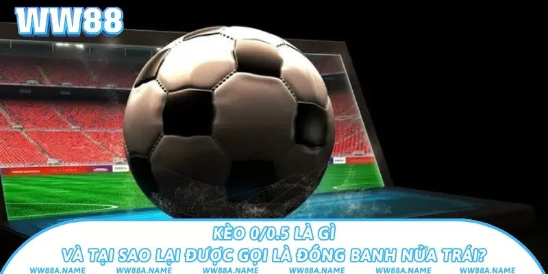 Kèo 0/0.5 là gì? Hướng dẫn đọc và chơi chuẩn xác Kèo 0/0.5 là gì và tại sao lại được gọi là đồng banh nửa trái?