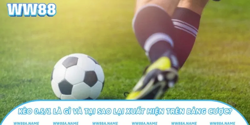 Kèo 0.5/1 là gì? Cách chơi và tính tiền dễ hiểu Kèo 0.5/1 là gì và tại sao lại xuất hiện trên bảng cược?