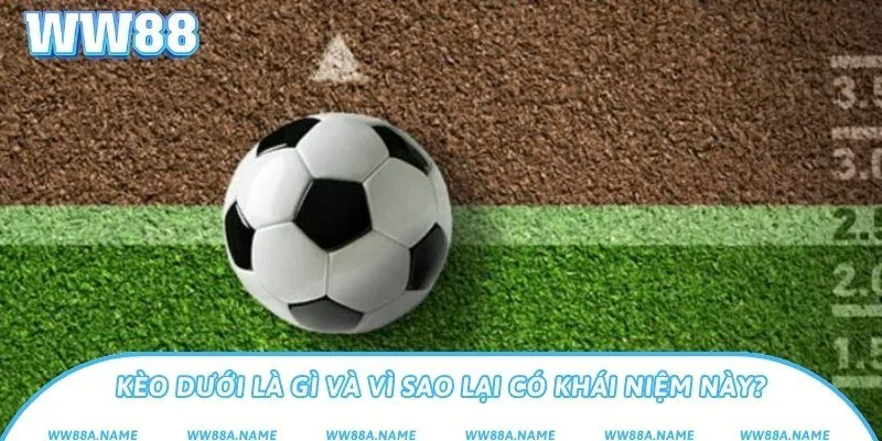 Kèo dưới là gì? Phân tích cách chơi dễ thắng nhất Kèo dưới là gì và vì sao lại có khái niệm này?