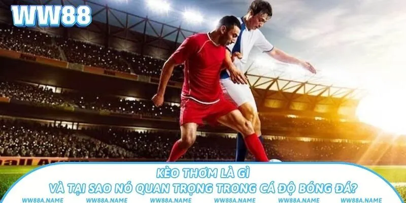 Kèo thơm là gì? Cách nhận biết và cược chuẩn xác Kèo thơm là gì và tại sao nó quan trọng trong cá độ bóng đá?