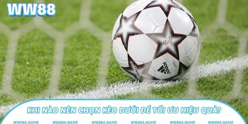 Kèo dưới là gì? Phân tích cách chơi dễ thắng nhất Khi nào nên chọn kèo dưới để tối ưu hiệu quả?
