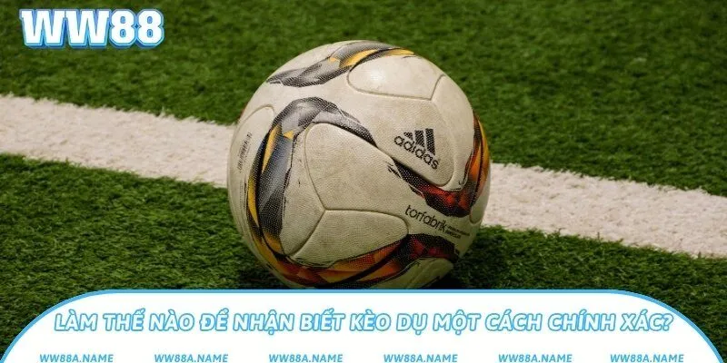 Kèo dụ là gì? Cách nhận biết và né bẫy nhà cái khi cá cược Làm thế nào để nhận biết kèo dụ một cách chính xác?