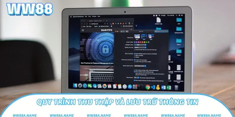 Chính Sách Bảo Mật WW88 - Bảo Vệ Dữ Liệu Cá Nhân Của Bạn Quy trình thu thập và lưu trữ thông tin