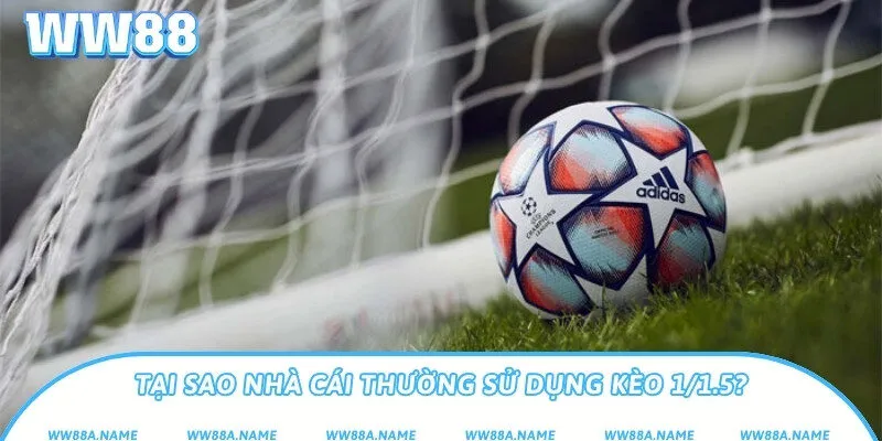 Kèo 1/1.5 là gì? Hướng dẫn đọc và chơi chính xác Tại sao nhà cái thường sử dụng kèo 1/1.5?