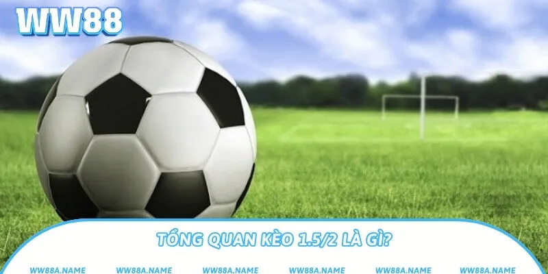 Kèo 1.5/2 là gì? Cách hiểu và soi kèo chấp 1.75 chuẩn Tổng quan kèo 1.5/2 là gì?