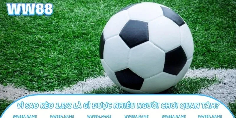 Kèo 1.5/2 là gì? Cách hiểu và soi kèo chấp 1.75 chuẩn Vì sao kèo 1.5/2 là gì được nhiều người chơi quan tâm?