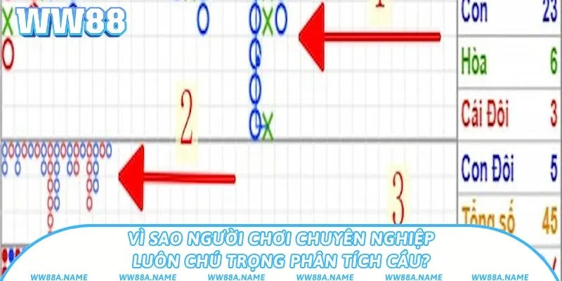 Cầu Baccarat là gì? Cách đọc cầu tăng tỉ lệ thắng cược Vì sao người chơi chuyên nghiệp luôn chú trọng phân tích cầu?