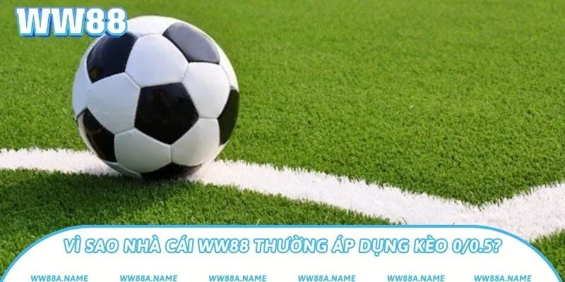 Kèo 0/0.5 là gì? Hướng dẫn đọc và chơi chuẩn xác Vì sao nhà cái WW88 thường áp dụng kèo 0/0.5?